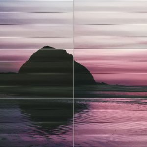 Maxima violet 1 dekor