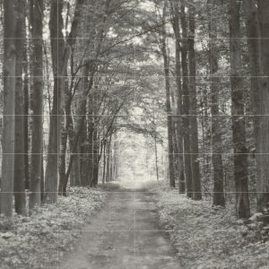 Tubadzin All in white 42 db-ból álló dekor