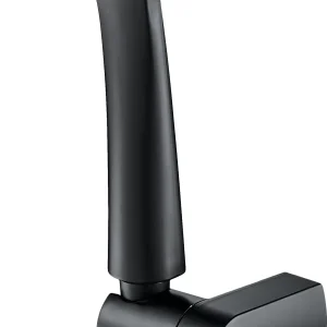 Deante Boro NER_N41K zuhanyszett fali tartóval, gégecsővel, fekete